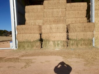 150mt Vetch Hay 600-650kg 8x4x3