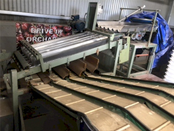GP Cherry Grader Complete Cherries