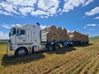 300 x Barley Hay Round Bales