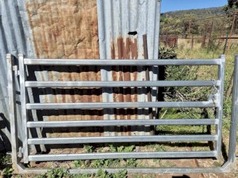 2022 Sheep Panels