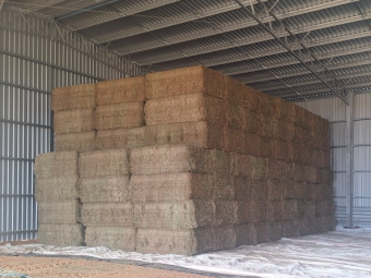 80mt Vetch Hay 640-650kg 8x4x3 Bales