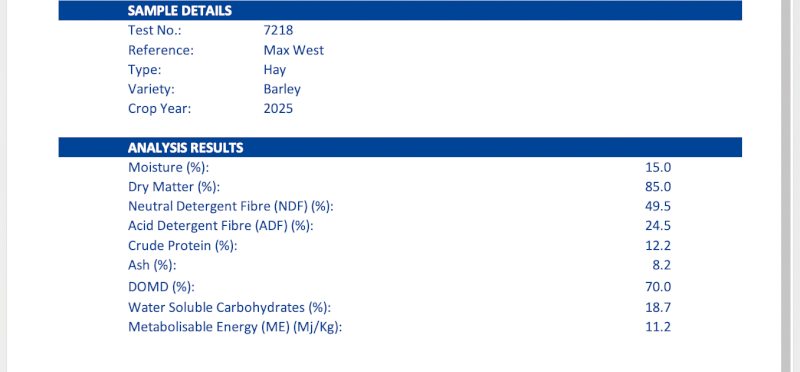 500mt Barley Hay 700kg 8x4x3 Bales