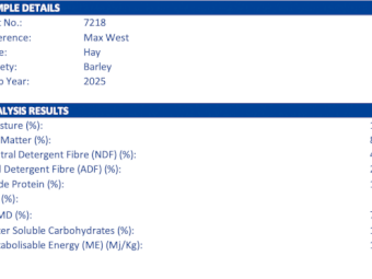 500mt Barley Hay 700kg 8x4x3 Bales