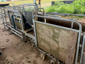 Racewell/Tepari Sheep Auto Drafter