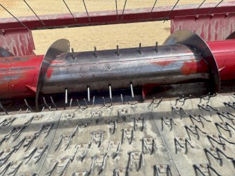 Case IH 1015 Canola Front and Trailer