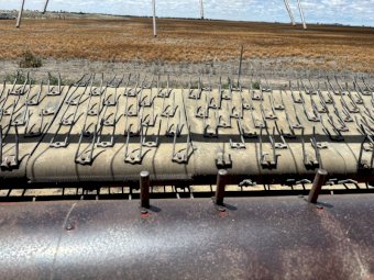 Case IH 1015 Canola Front and Trailer