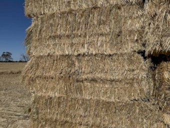 New Season Oaten Hay Off the Baler