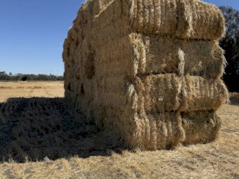 New Season Oaten Hay Off the Baler