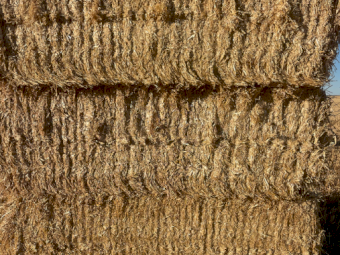 200mt Barley Straw 480kg 8x4x3 Bales