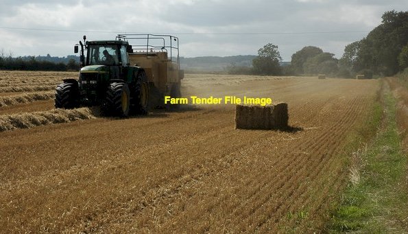 130 m/t Barley Straw 8x4x3 Bales