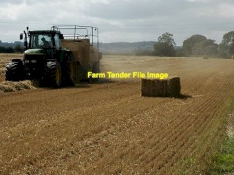 130 m/t Barley Straw 8x4x3 Bales