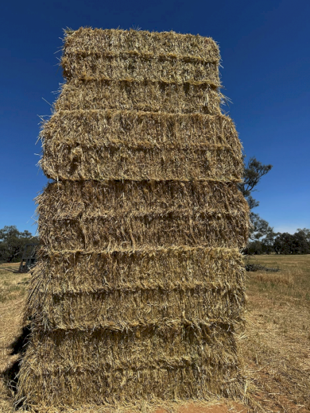 500MT Oaten Hay 8X4X3 Large Square Bales
