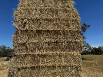 500MT Oaten Hay 8X4X3 Large Square Bales