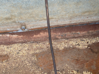 Sherwell Cattle Feeder