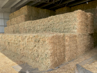 441 x Oaten Hay Small Square Bales (In Bale Baron Packs of 21)