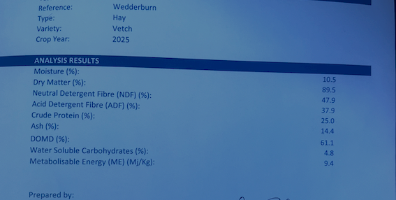 500mt Vetch Hay 600-650kg 8x4x3 Bales