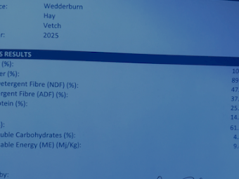 500mt Vetch Hay 600-650kg 8x4x3 Bales