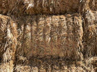 200mt Oaten Hay 700kg 8x4x3 Bales