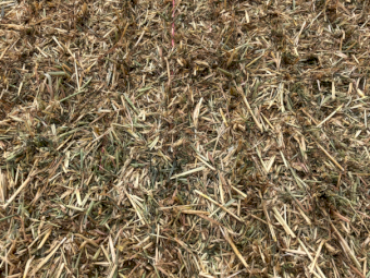 200mt Oaten Hay 700kg 8x4x3 Bales