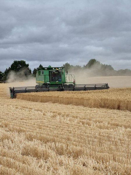 John Deere STS 9670  Bullet Rotor with Mid West 42 Draper front,  Hamilton comb trailer