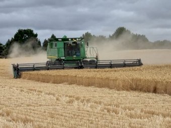 John Deere STS 9670  Bullet Rotor with Mid West 42 Draper front,  Hamilton comb trailer