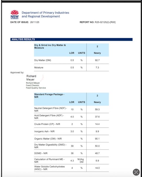 1000  mt Vetch-Wheaten Mix Hay