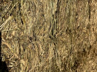 1000  mt Vetch-Wheaten Mix Hay