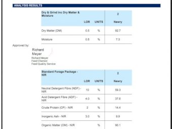 1000  mt Vetch-Wheaten Mix Hay