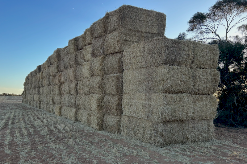 Barley Straw 8x4x3 Bales