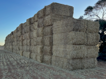 Barley Straw 8x4x3 Bales