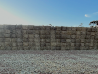 Barley Straw 8x4x3 Bales
