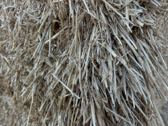 Barley Straw 8x4x3 Bales
