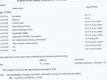 Sub Clover and Ryegrass Hay in Rolls