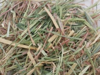 25' Season Oaten Hay in Round Bales