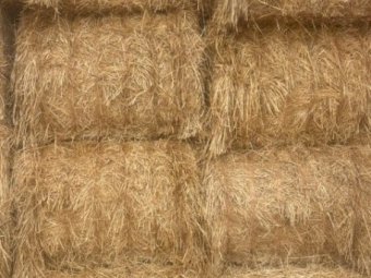 500MT Barley Straw 8X4X3 Large Square Bales