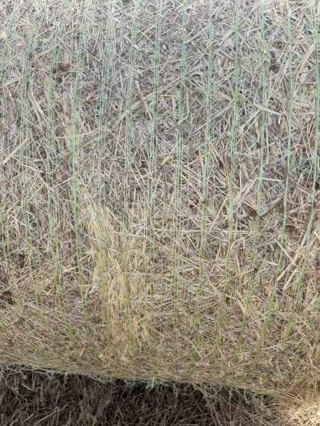 400 Rolls of Clover Rye Grass Hay