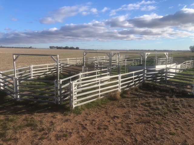 2022 Pastoral 600 Head Portable Sheep Yards
