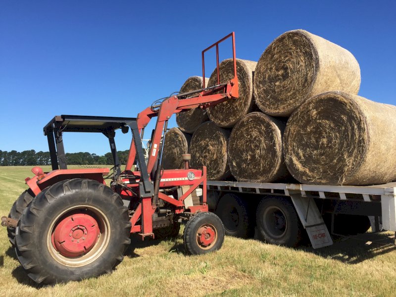 Massey Ferguson 175 Tractor with FEL