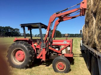 Massey Ferguson 175 Tractor with FEL