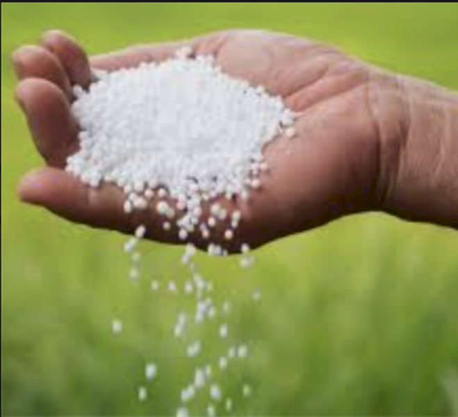 Urea Ex Brisbane