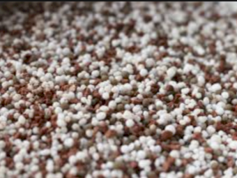 Custom Blends available