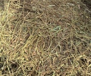 Cavalcade Hay 8X4X3 Large Square Bales