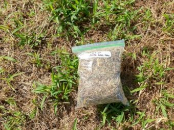 Jarra Grass Hay 8X4X3 Large Square Bales