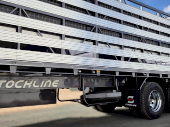 2025 Stockline 45ft 2x1 Sheep Crate Semi Trailer