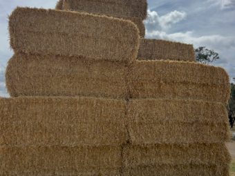 150mt Barley Straw 8x4x3 Bales