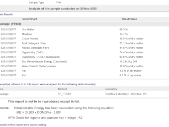 100mt Vetch Hay 550-600kg 8x4x3 Bales