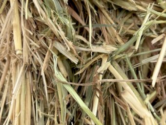 250  Bales of 25' Season Oaten Hay