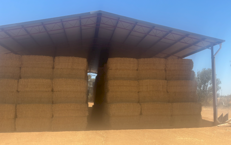 500mt Wheaten Straw 525kg 8x4x3 Bales