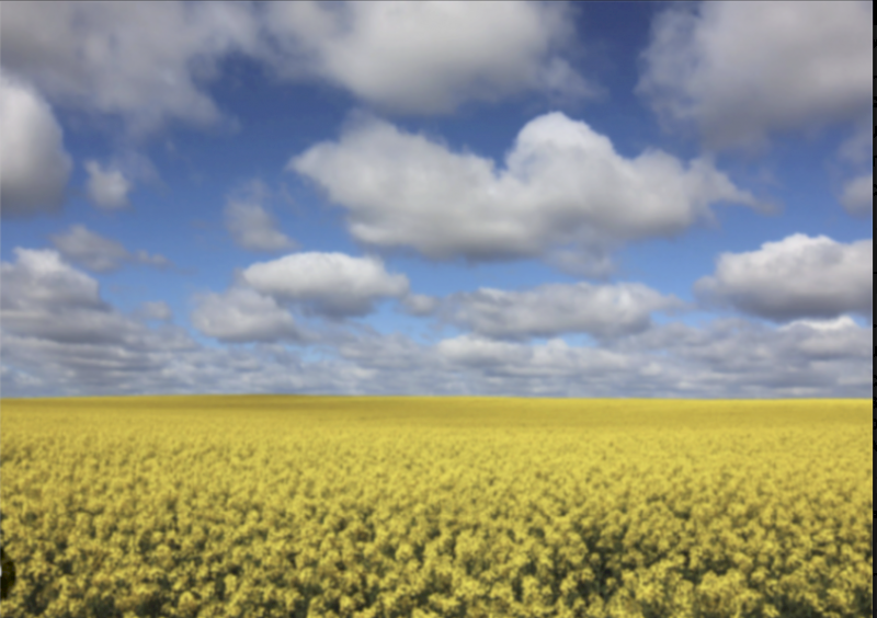 Granulock Z ex Geelong