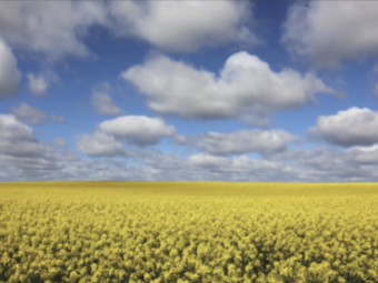 Granulock Z ex Geelong